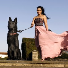 Fashion